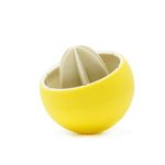 lemon1