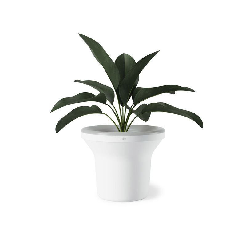 1012831-660_ORA_PLANTER_WHITE_02_beauty_element_copy