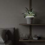 1012831-660_ORA_PLANTER_WHITE_07_beauty_element_copy