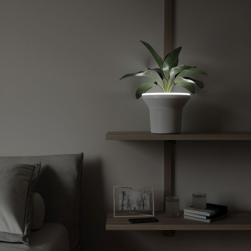 1012831-660_ORA_PLANTER_WHITE_07_beauty_element_copy