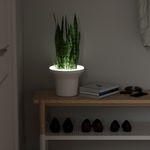 1012831-660_ORA_PLANTER_WHITE_08_beauty_element_copy