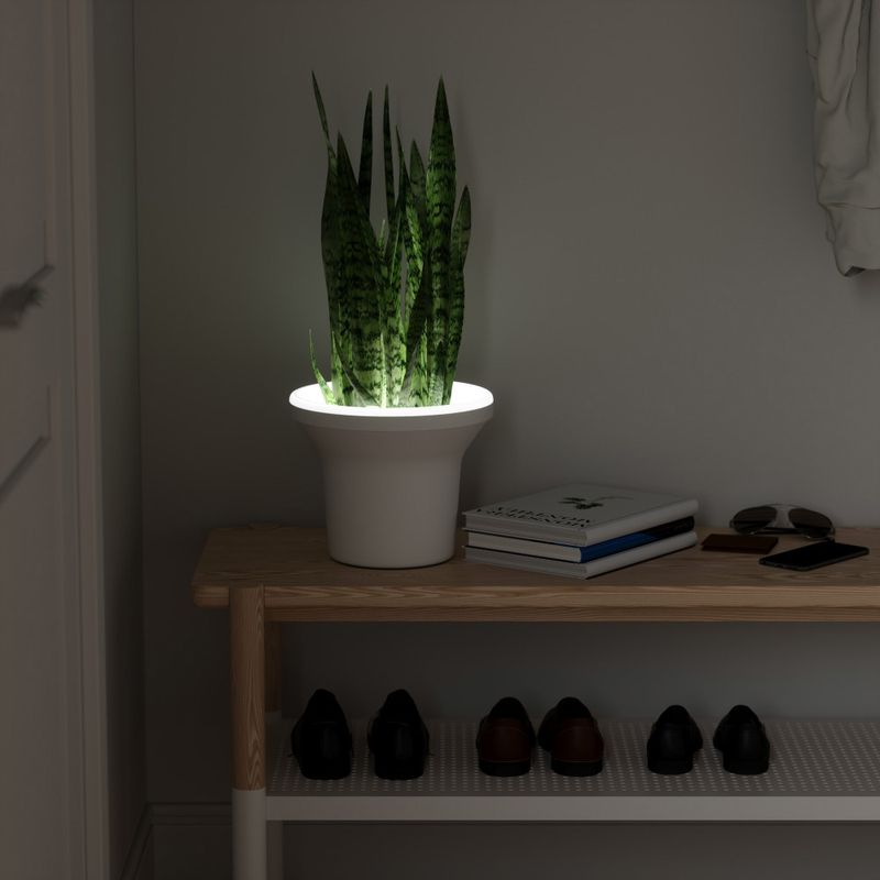 1012831-660_ORA_PLANTER_WHITE_08_beauty_element_copy