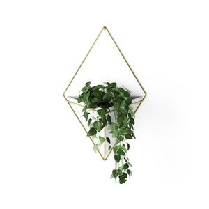 Recipiente Trigg Pared Blanco