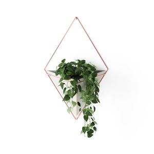 Recipiente Trigg Pared Bronce