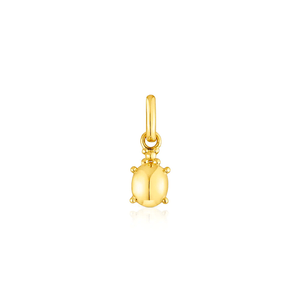 Colgante Plata 1ªLey Baño Oro 6mm