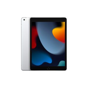 Ipad 10.2in Wifi 256GB Silver
