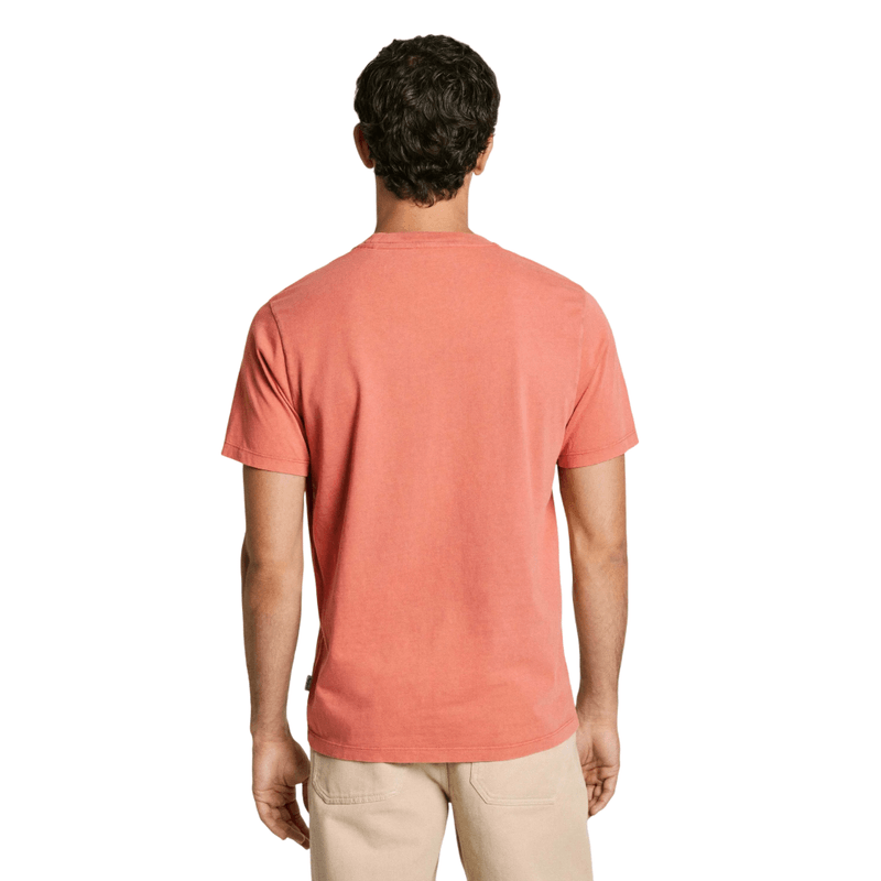 image-Photoroom--4-.png