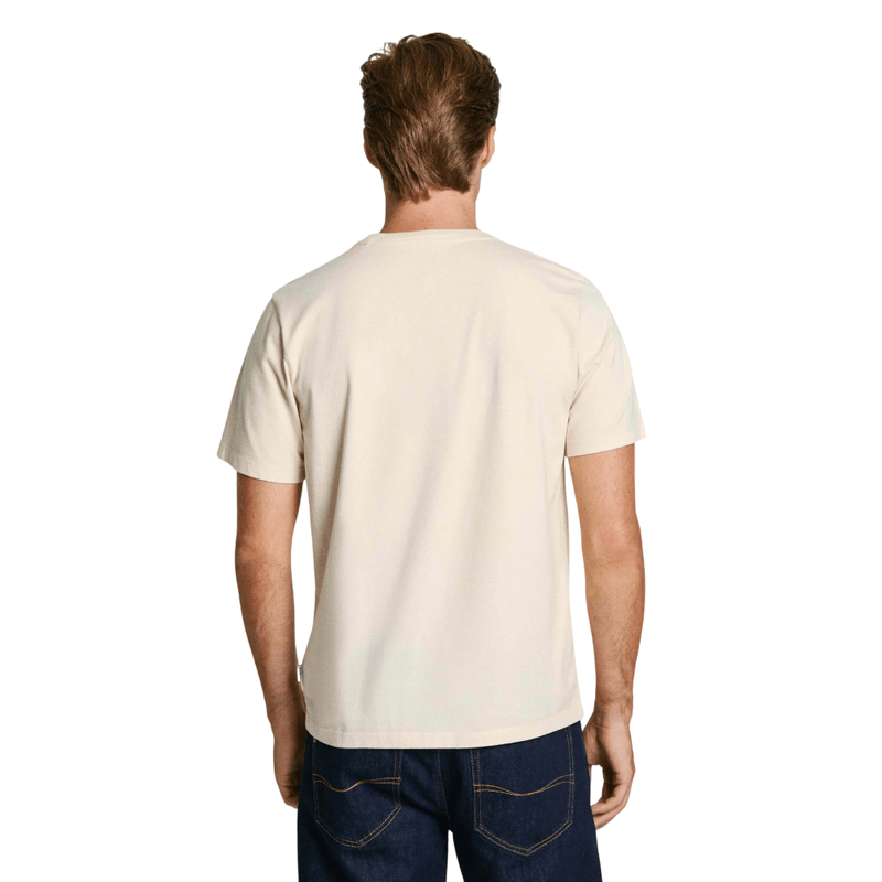 image-Photoroom--5-.png