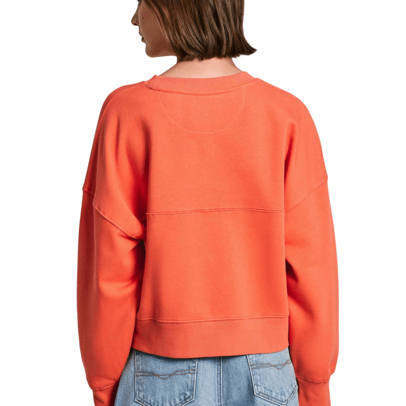 image-1-Photoroom--6-.png