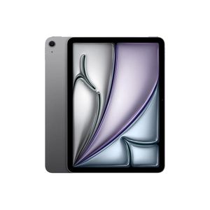 Ipad Air 11-inch Wi-Fi 256GB Space Gray