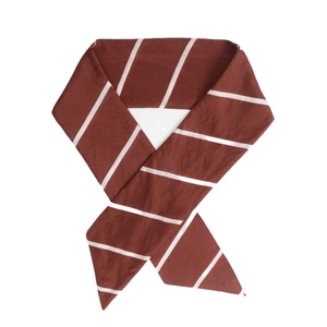 CorbatIn Seda Granate Rayas